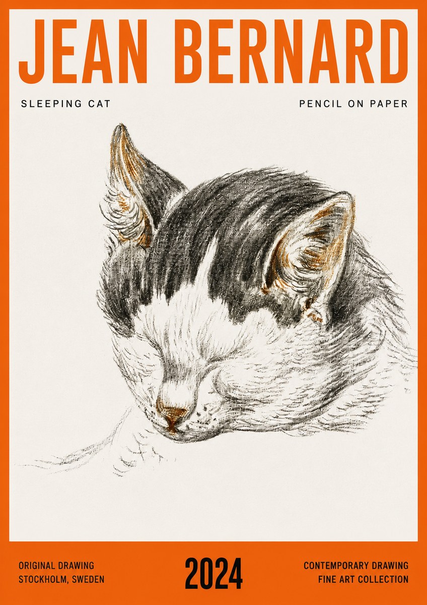 Jean Bernard Sleeping Cat V No4 - Plakat