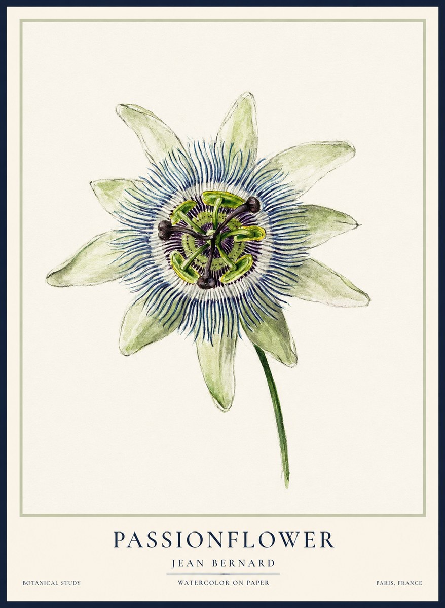 Jean Bernard Passionflower No2 - Plakat