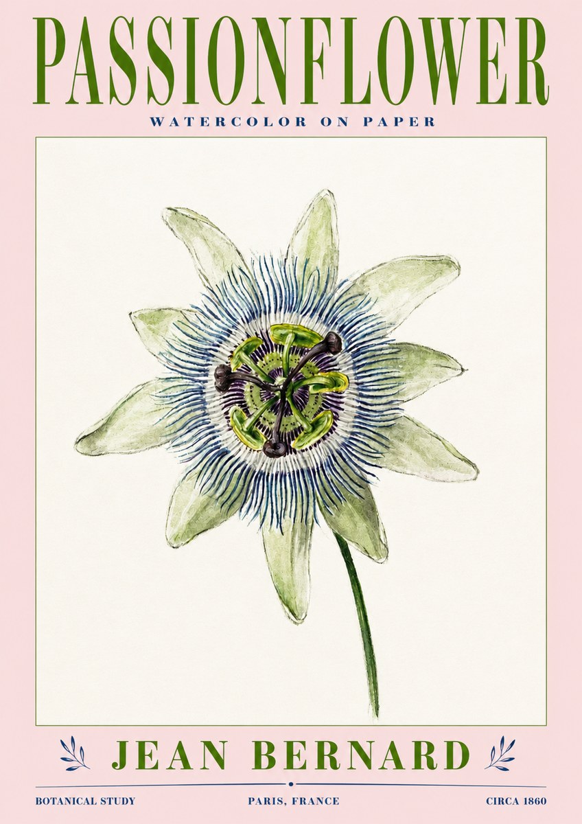 Jean Bernard Passionflower No3 - Plakat