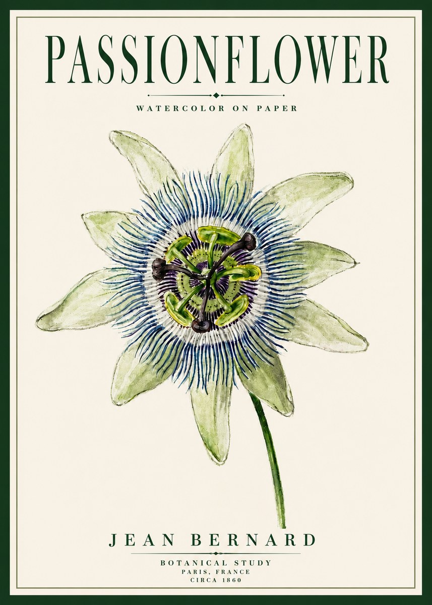 Jean Bernard Passionflower No5 - Plakat
