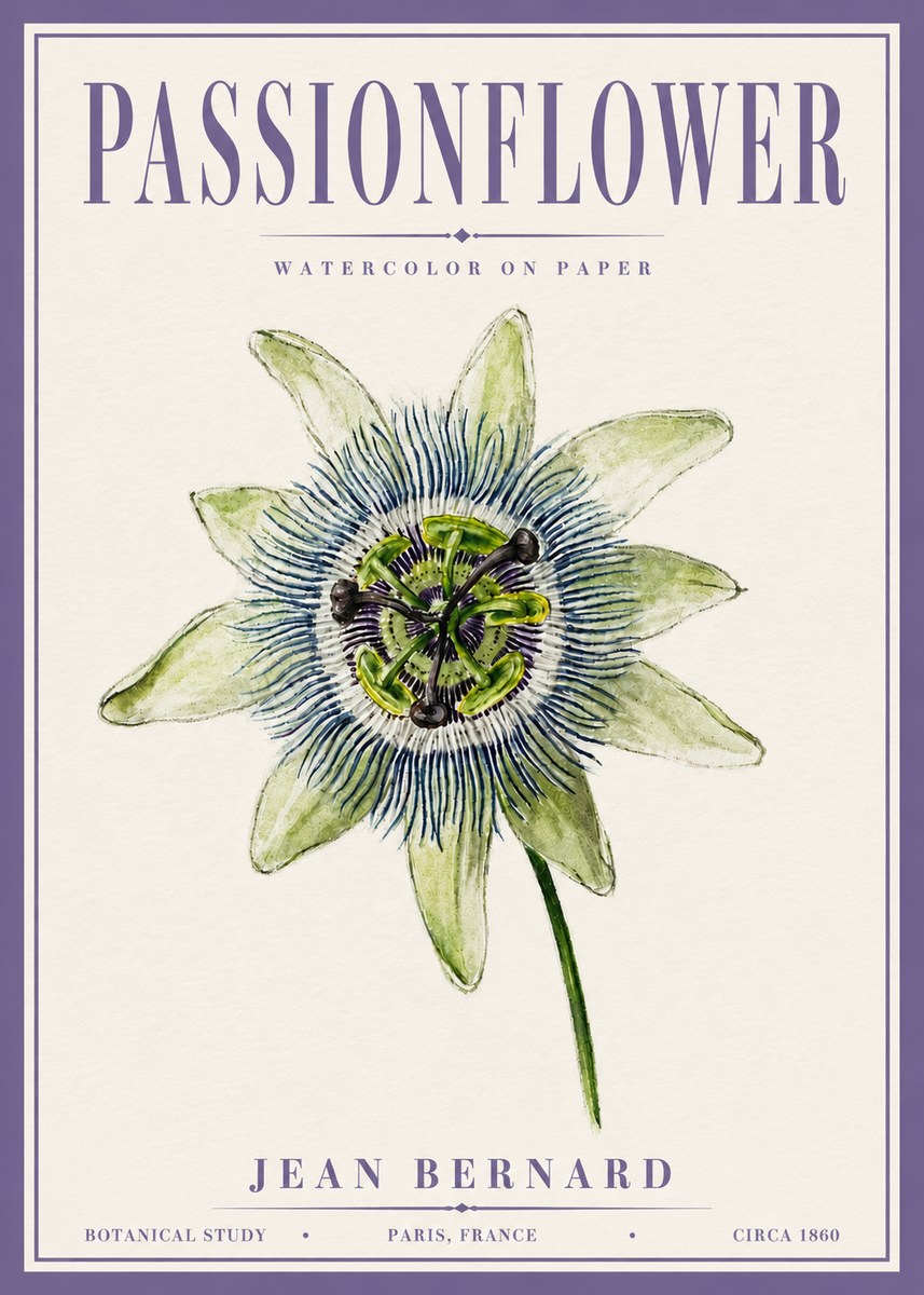 Jean Bernard Passionflower No6 - Plakat