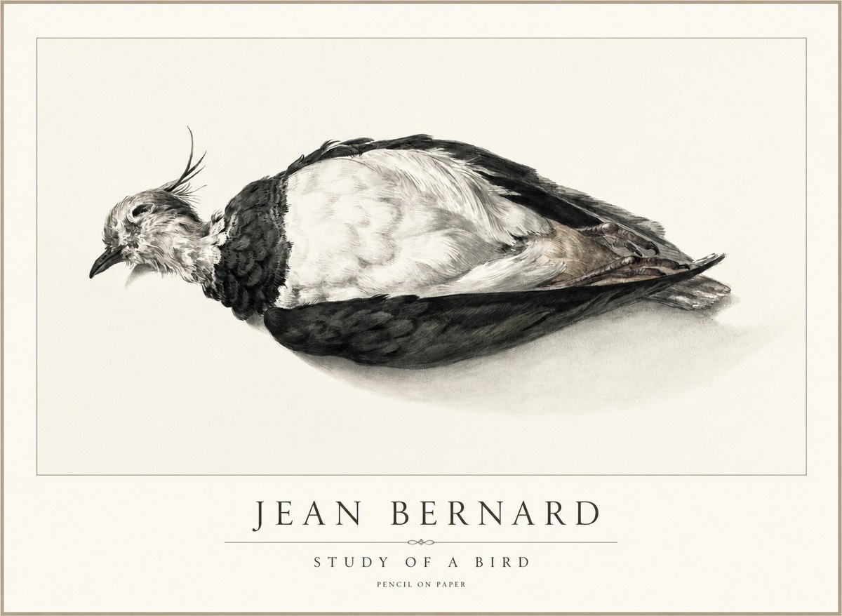 Jean Bernard Study of a Bird II No2 - Plakat