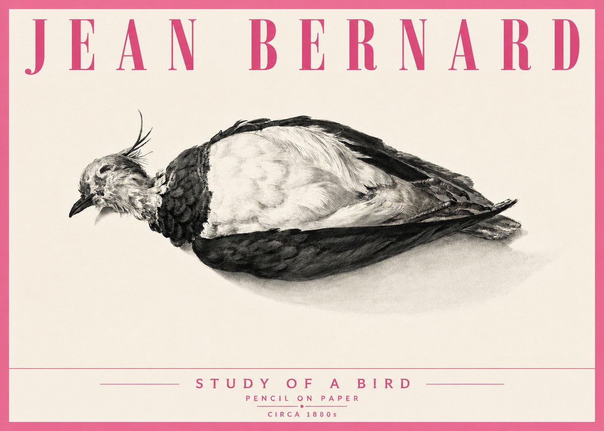 Jean Bernard Study of a Bird II No6 - Plakat