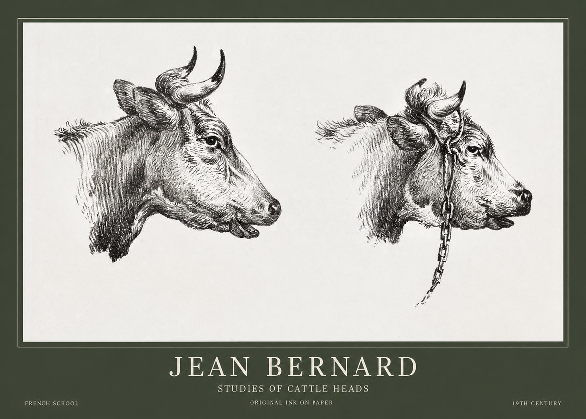Jean Bernard Studies of Cattle Heads No1 - Plakat
