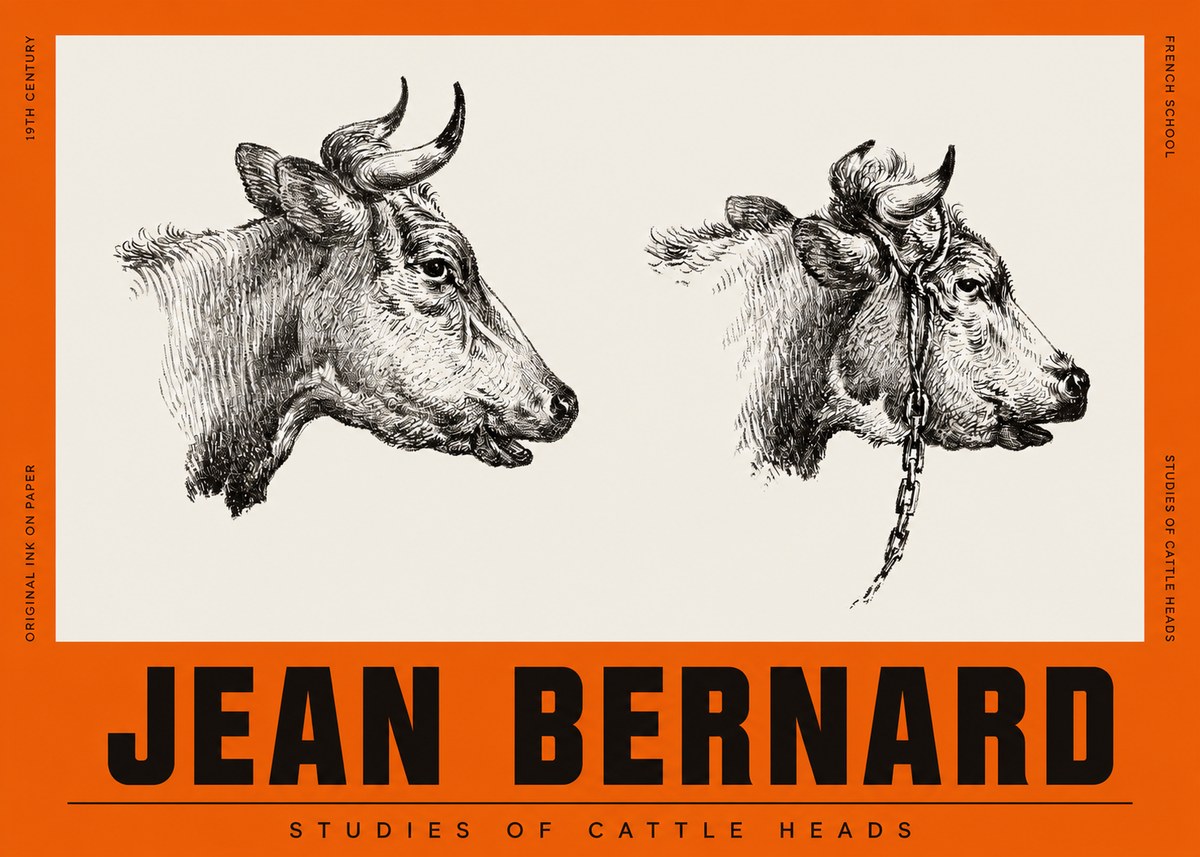 Jean Bernard Studies of Cattle Heads No2 - Plakat