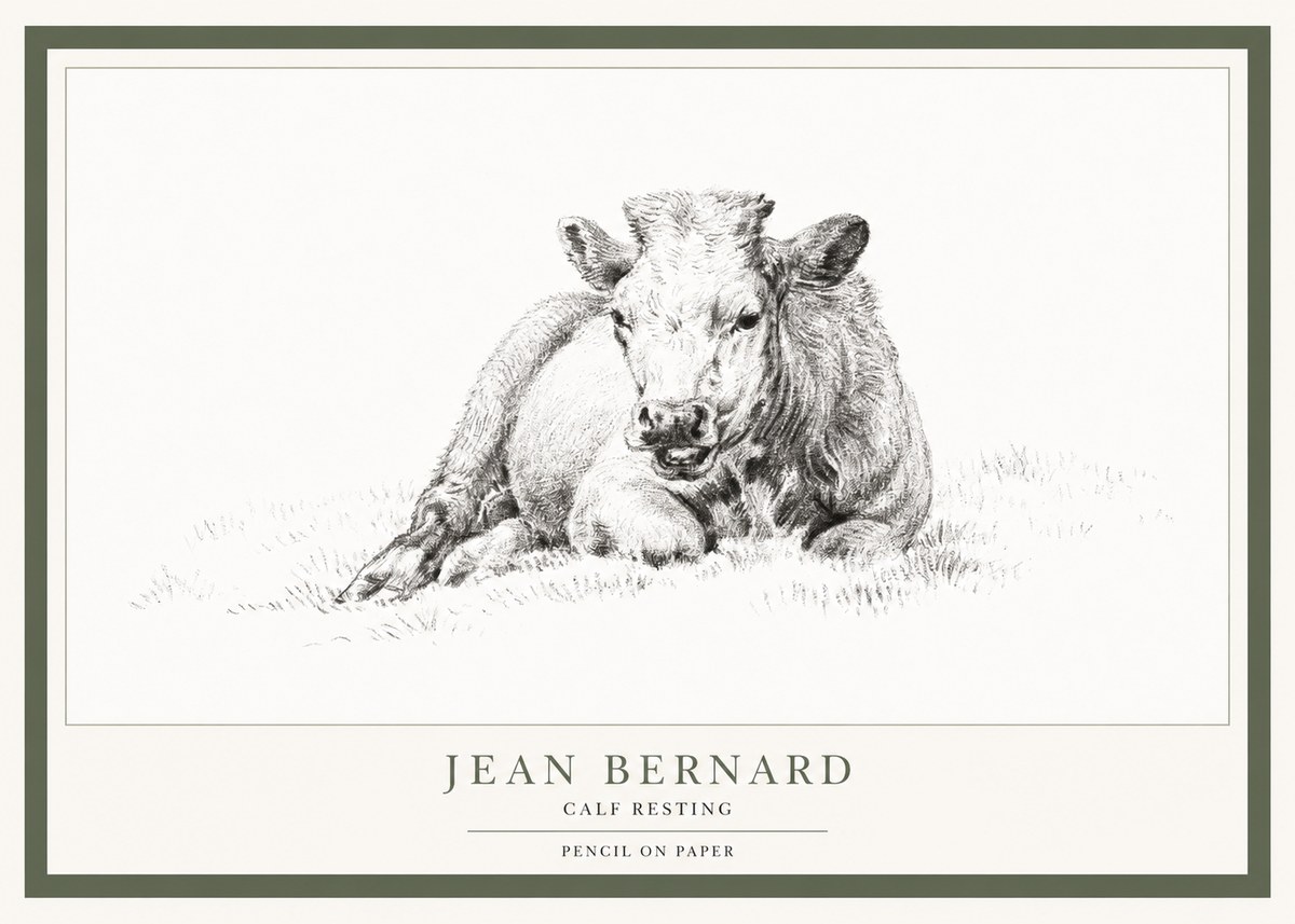 Jean Bernard Calf Resting No1 - Plakat