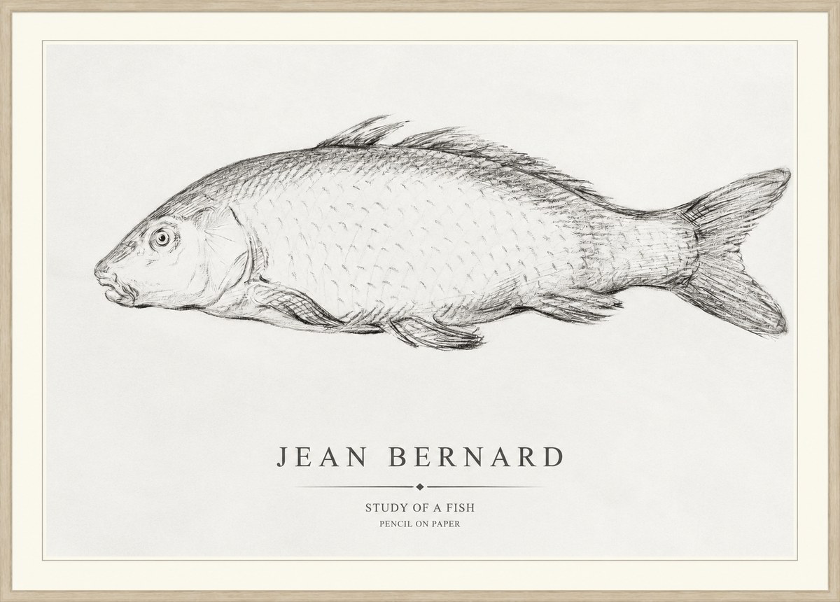 Jean Bernard Study of a Fish III No1 - Plakat