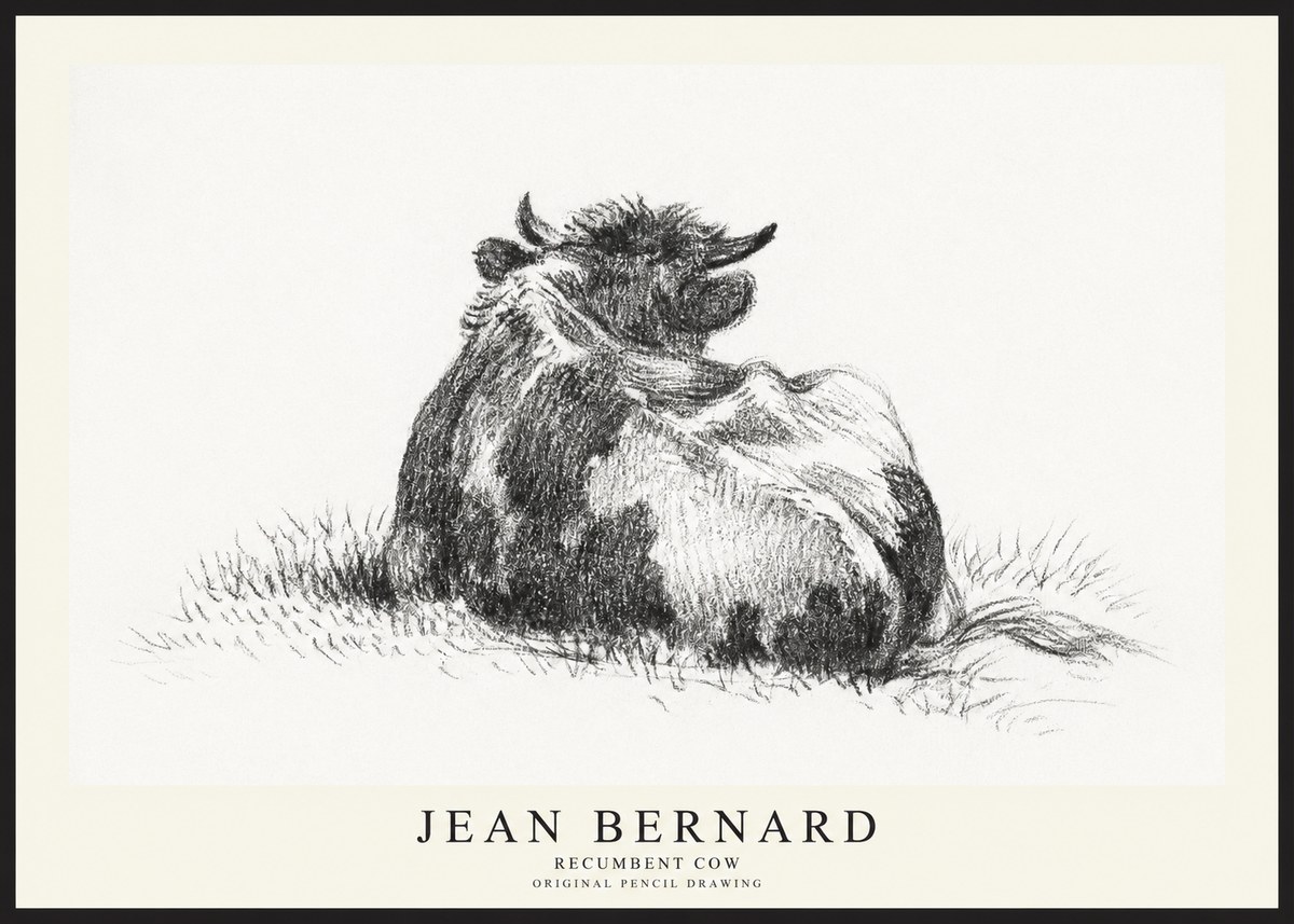Jean Bernard Resting Highland Cow No3 - Plakat