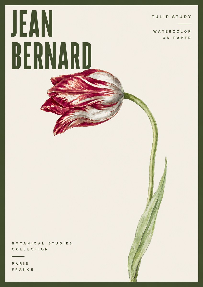 Jean Bernard Tulip Study No6 - Plakat
