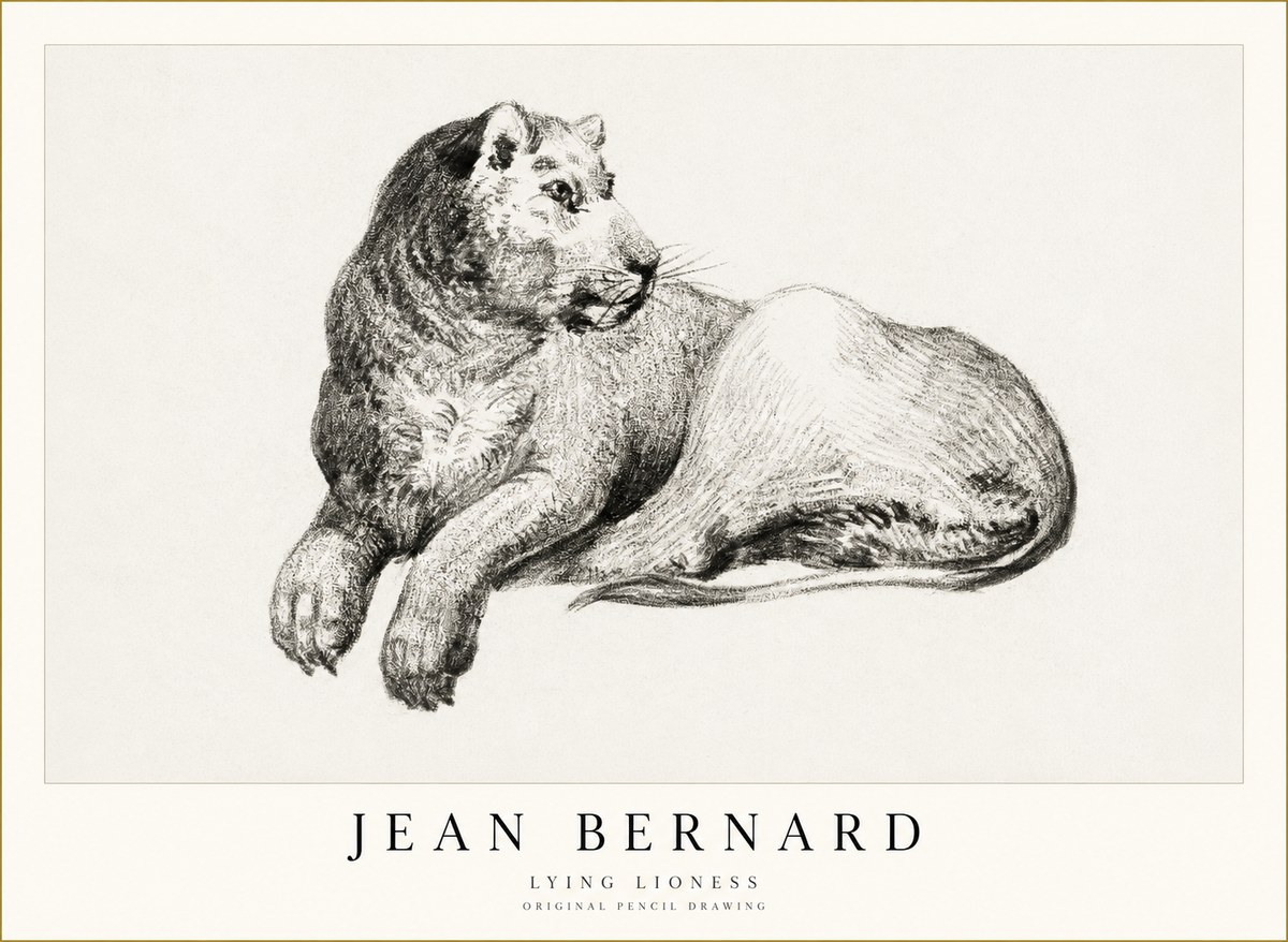 Jean Bernard Lying Lioness No1 - Plakat