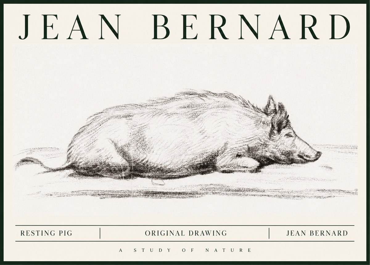 Jean Bernard Resting Pig I No1 - Plakat
