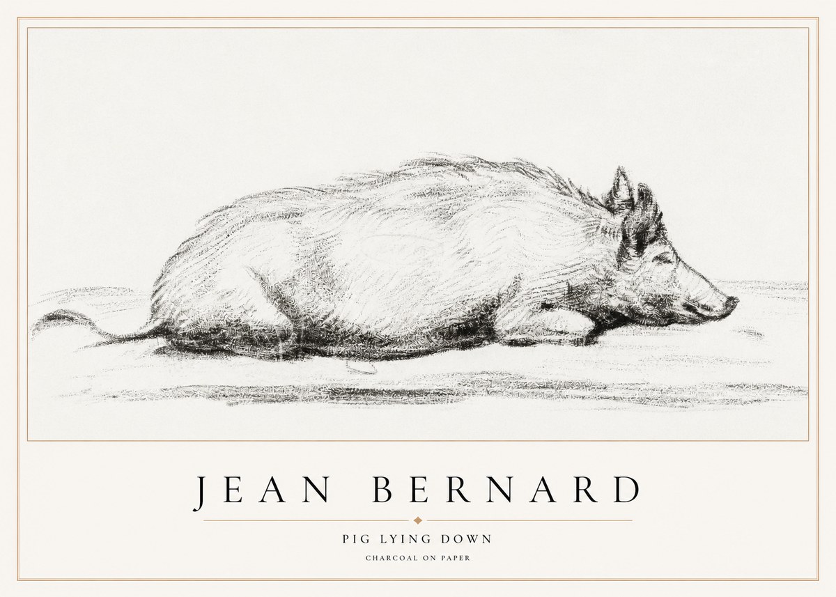 Jean Bernard Resting Pig I No2 - Plakat