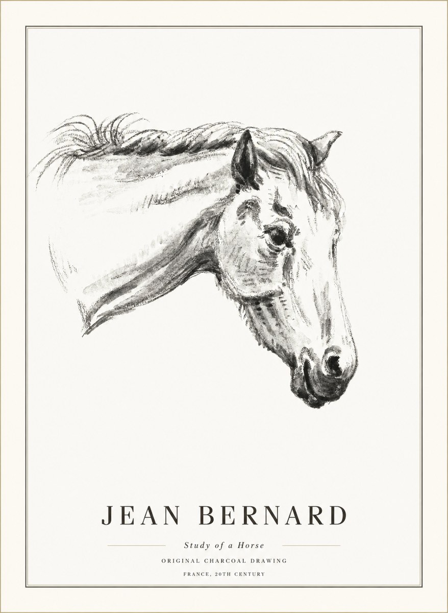 Jean Bernard Study of a Horse VIII No5 - Plakat