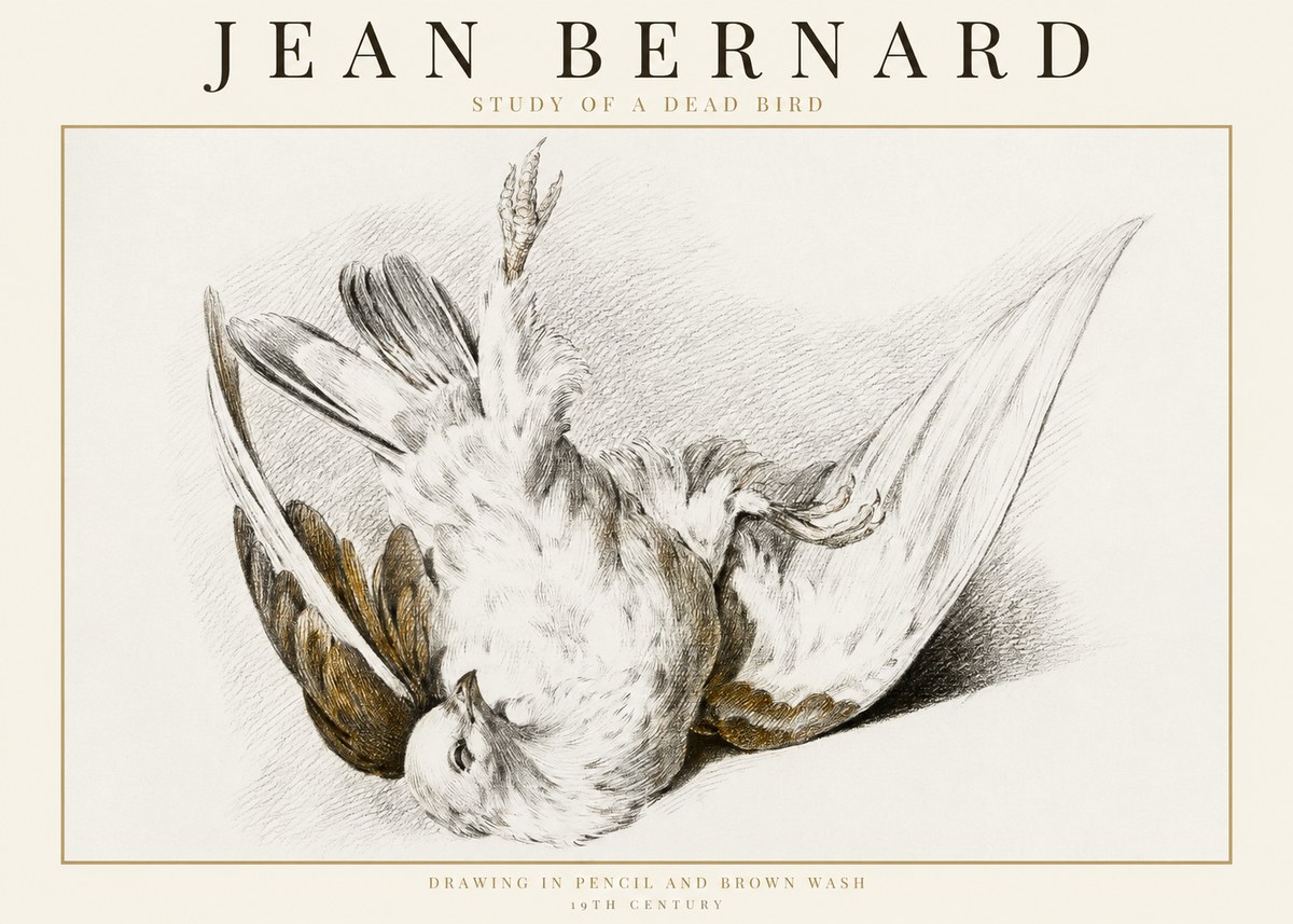 Jean Bernard Study of a Dead Bird No1 - Plakat