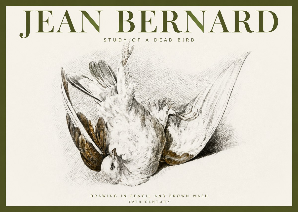Jean Bernard Study of a Dead Bird No2 - Plakat