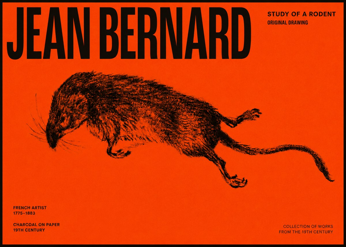 Jean Bernard Study of a Rat II No6 - Plakat