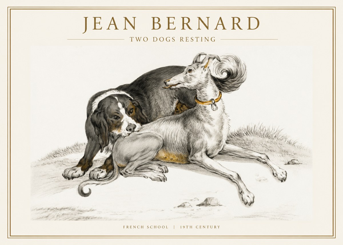 Jean Bernard Two Dogs Resting No1 - Plakat