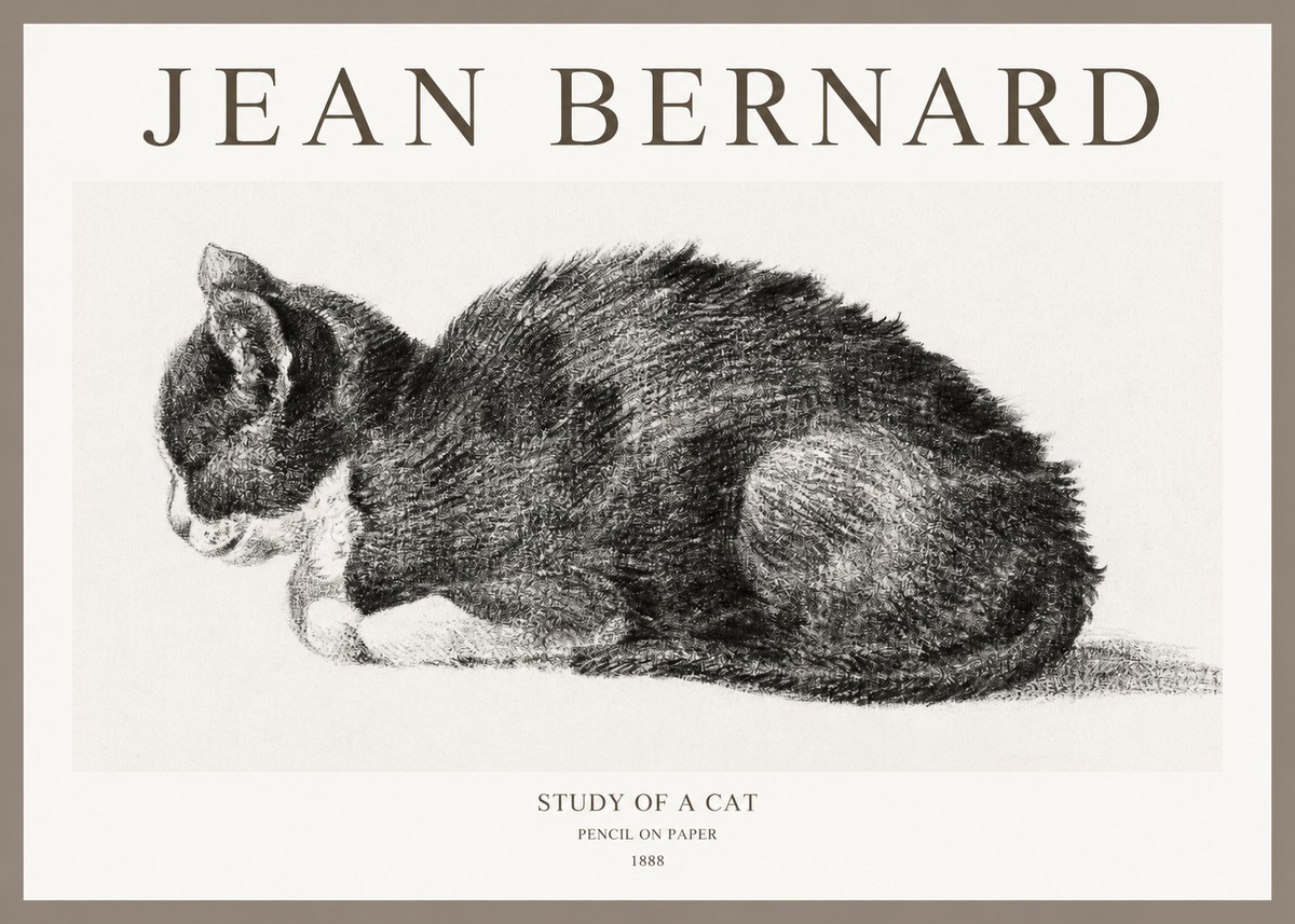 Jean Bernard Sleeping Cat VII No6 - Plakat