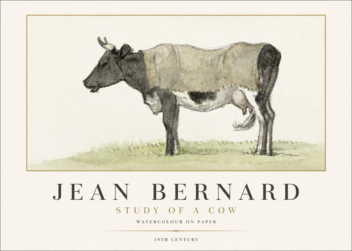 Jean Bernard Study of a Cow IX No1 - Plakat