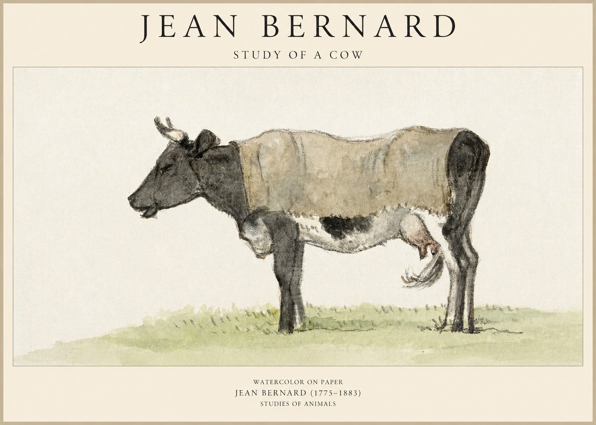 Jean Bernard Study of a Cow IX No6 - Plakat
