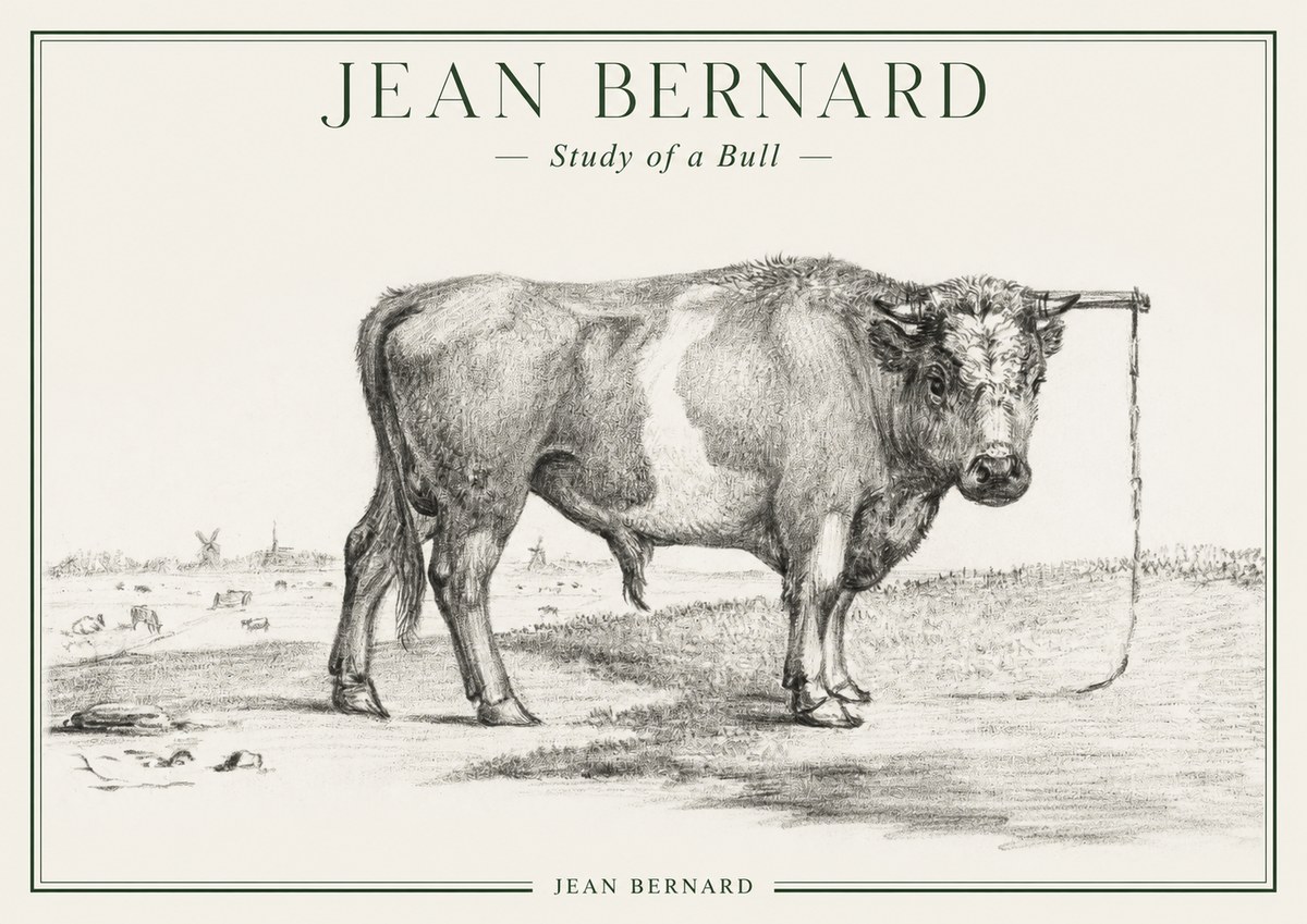 Jean Bernard Study of a Bull III No1 - Plakat
