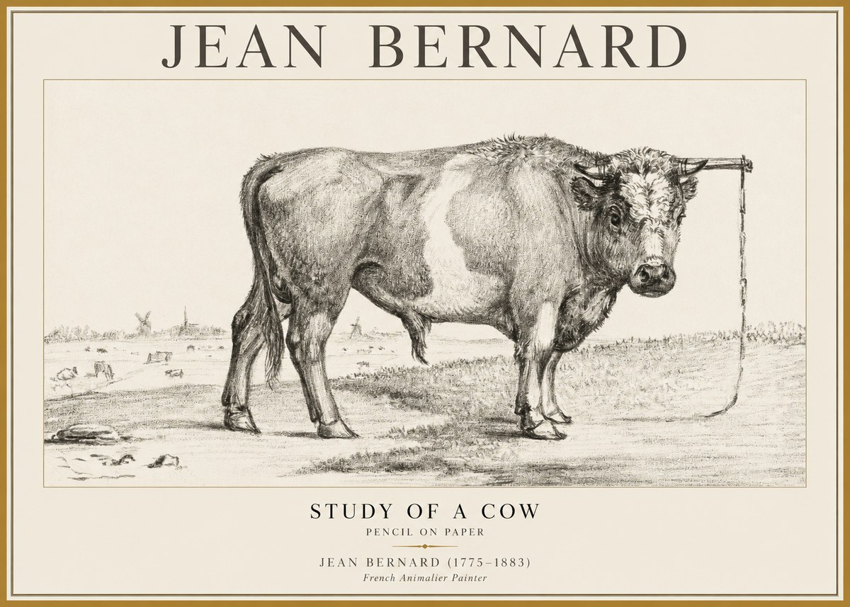 Jean Bernard Study of a Bull III No5 - Plakat