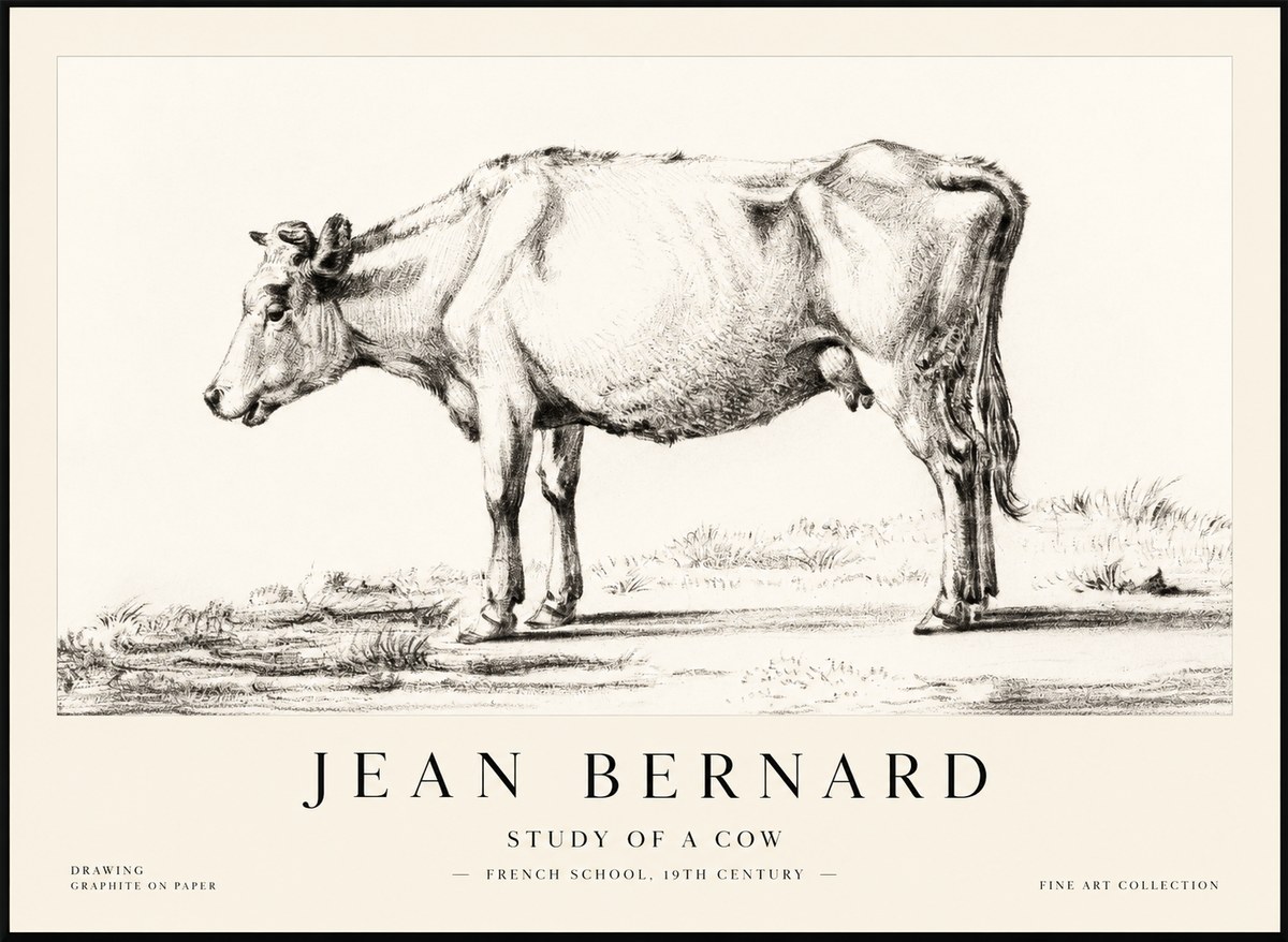 Jean Bernard Study of a Cow XI No2 - Plakat