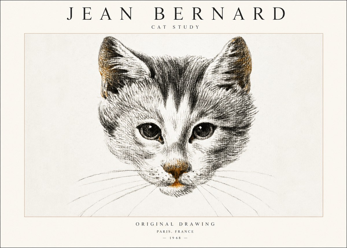Jean Bernard Cat Study IX No6 - Plakat