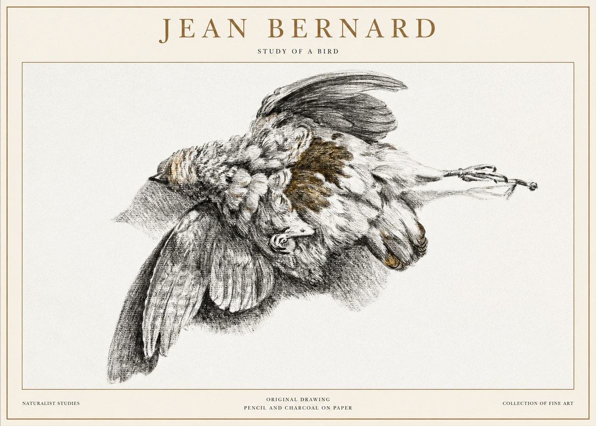Jean Bernard Study of a Bird III No1 - Plakat