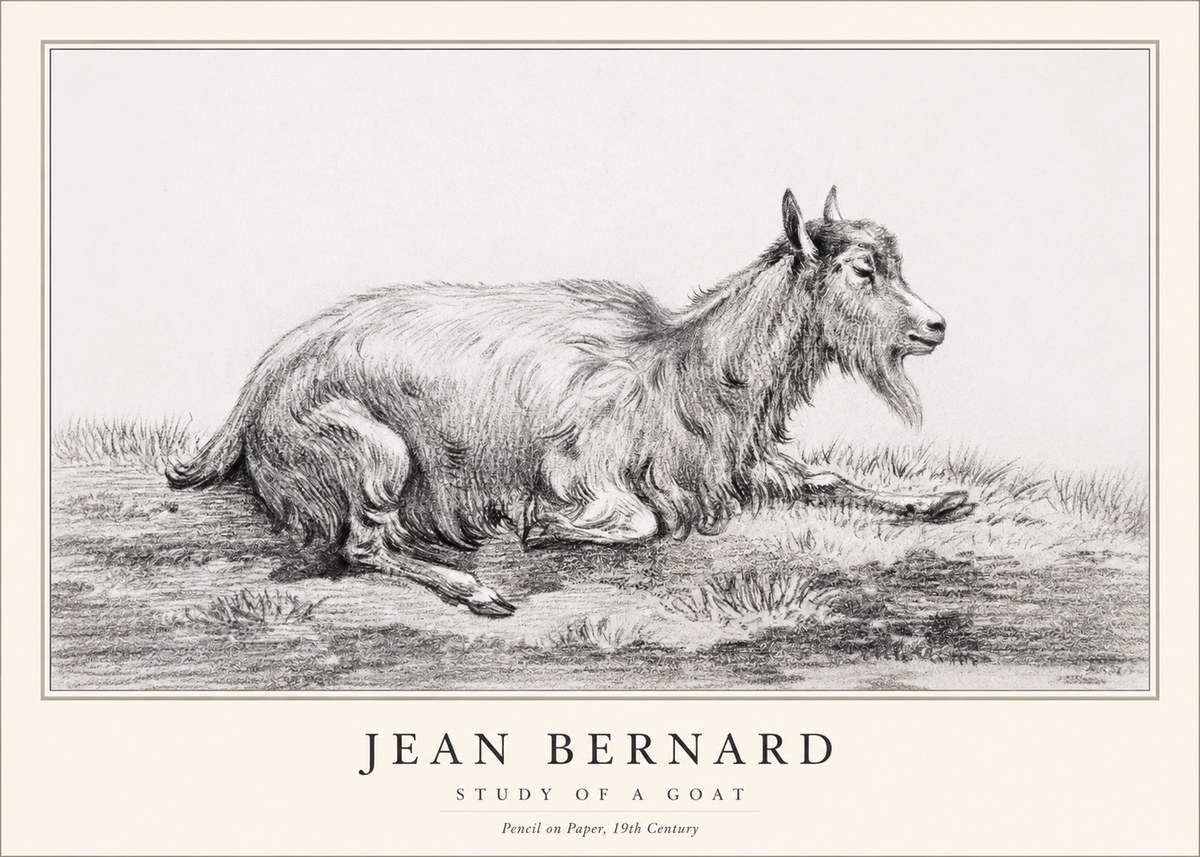 Jean Bernard Study of a Goat V No1 - Plakat