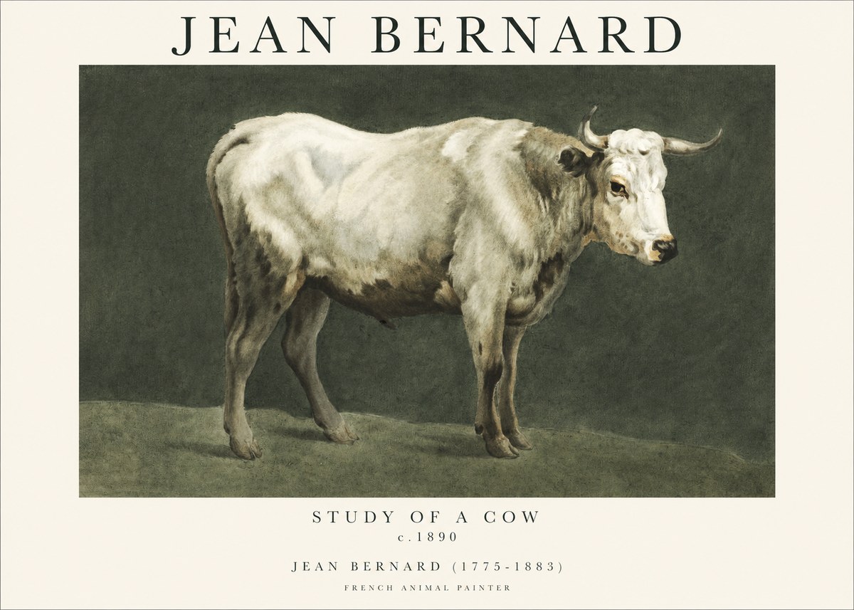 Jean Bernard Study of a Cow C. 1890 No1 - Plakat