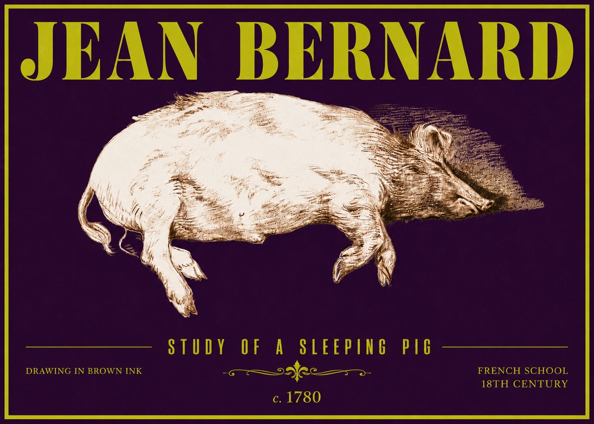 Jean Bernard Study of a Sleeping Pig No6 - Plakat