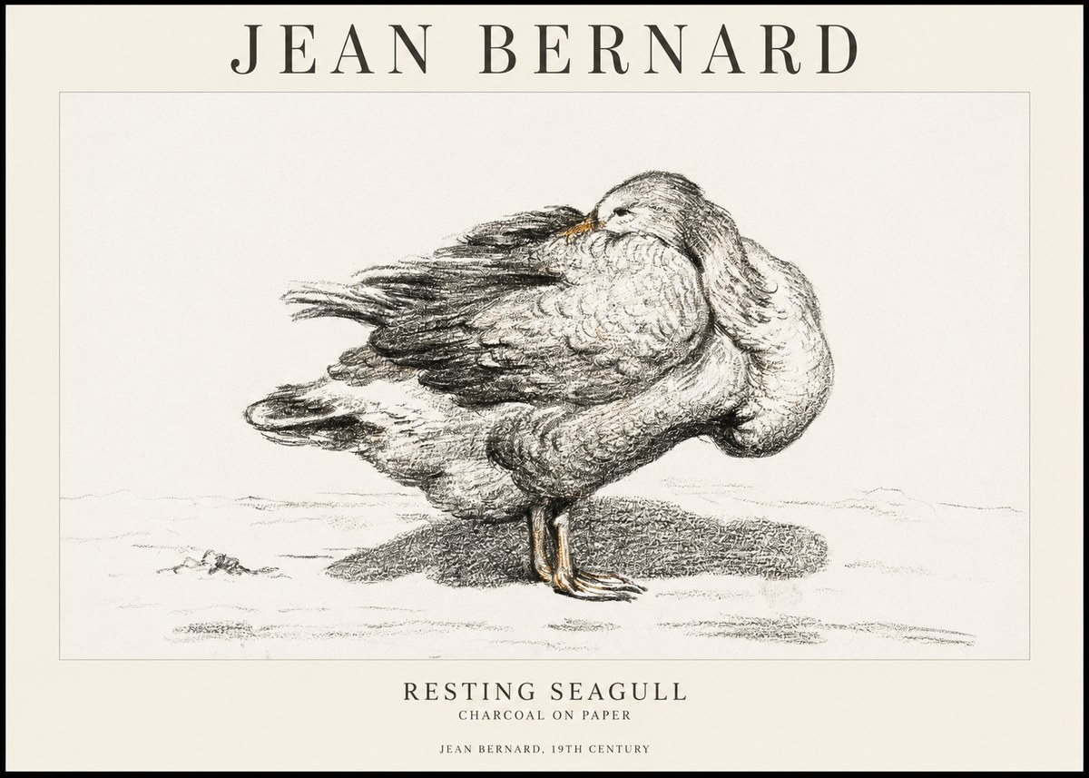Jean Bernard Resting Seagull No1 - Plakat