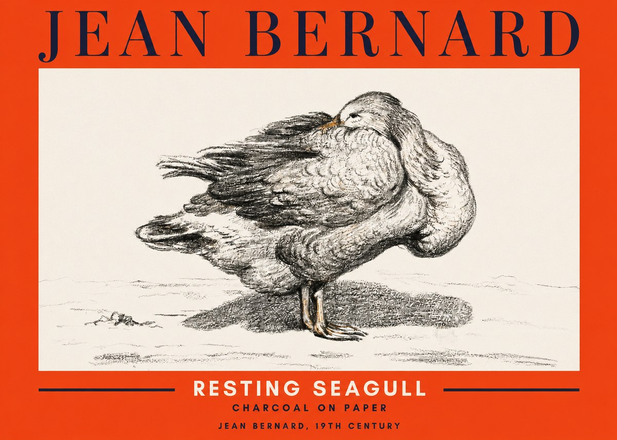 Jean Bernard Resting Seagull No2 - Plakat