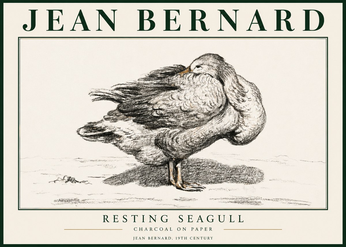 Jean Bernard Resting Seagull No3 - Plakat