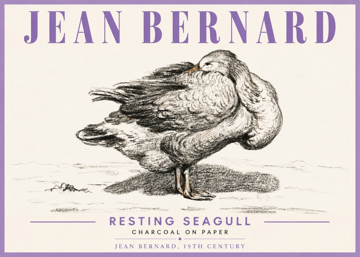 Jean Bernard Resting Seagull No6 - Plakat