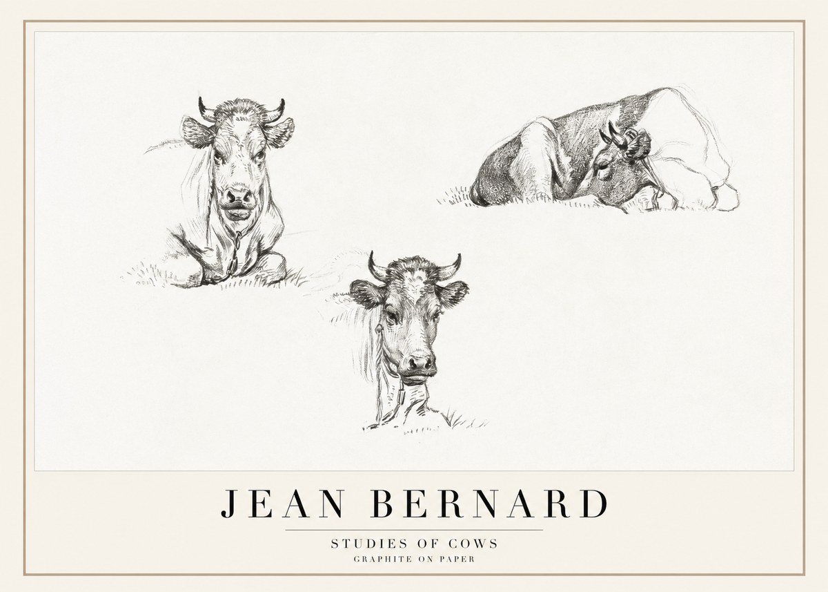 Jean Bernard Studies of Cows II No1 - Plakat