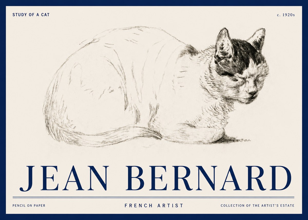 Jean Bernard Study of a Cat III No3 - Plakat