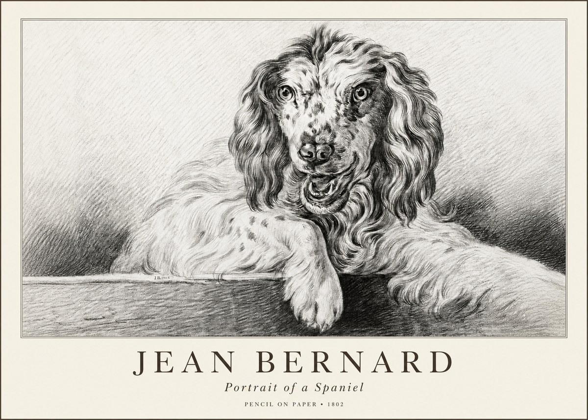 Jean Bernard Portrait of a Spaniel No1 - Plakat
