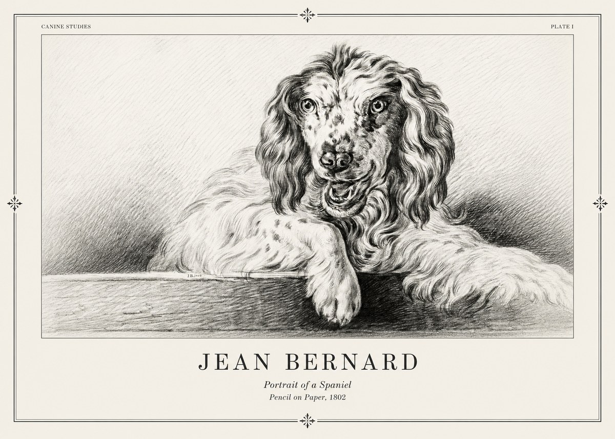 Jean Bernard Portrait of a Spaniel No2 - Plakat
