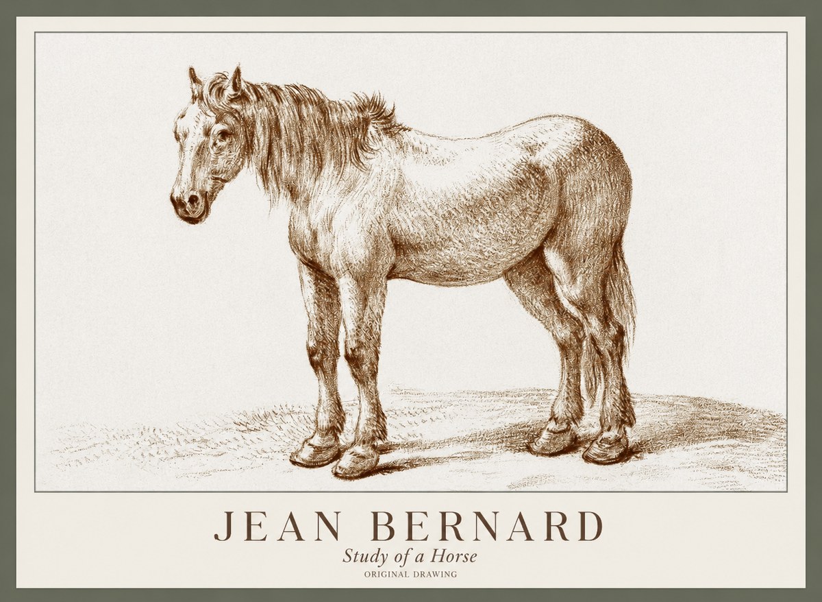 Jean Bernard Study of a Horse XIV No1 - Plakat