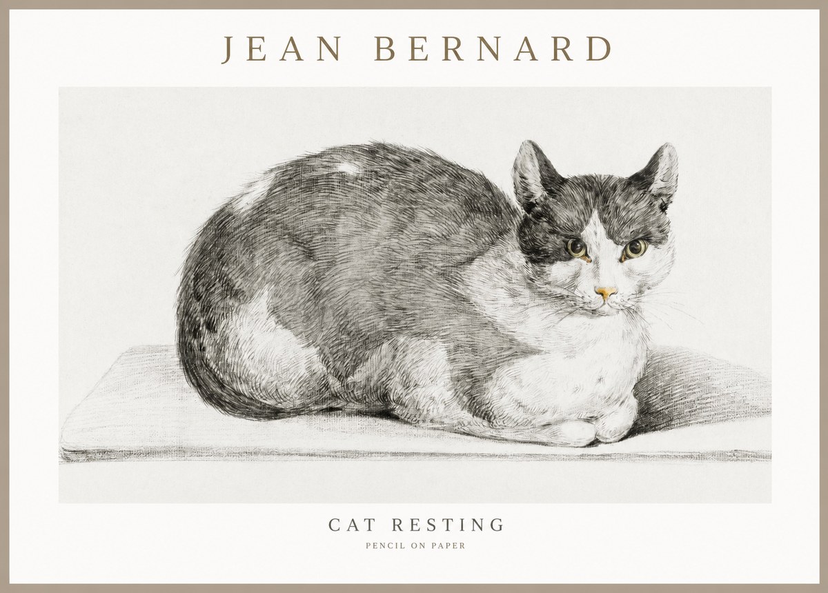 Jean Bernard Cat Study XI No3 - Plakat