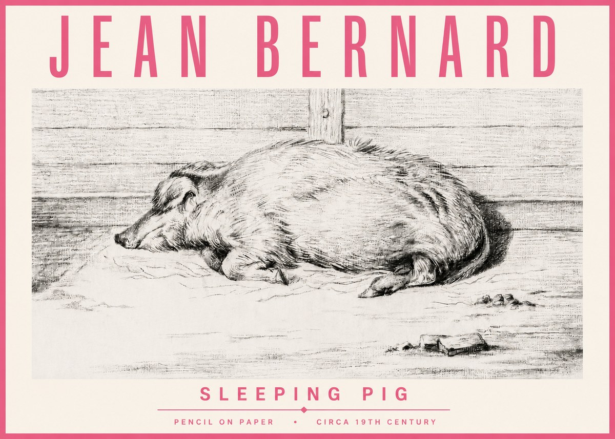Jean Bernard Sleeping Pig I No4 - Plakat