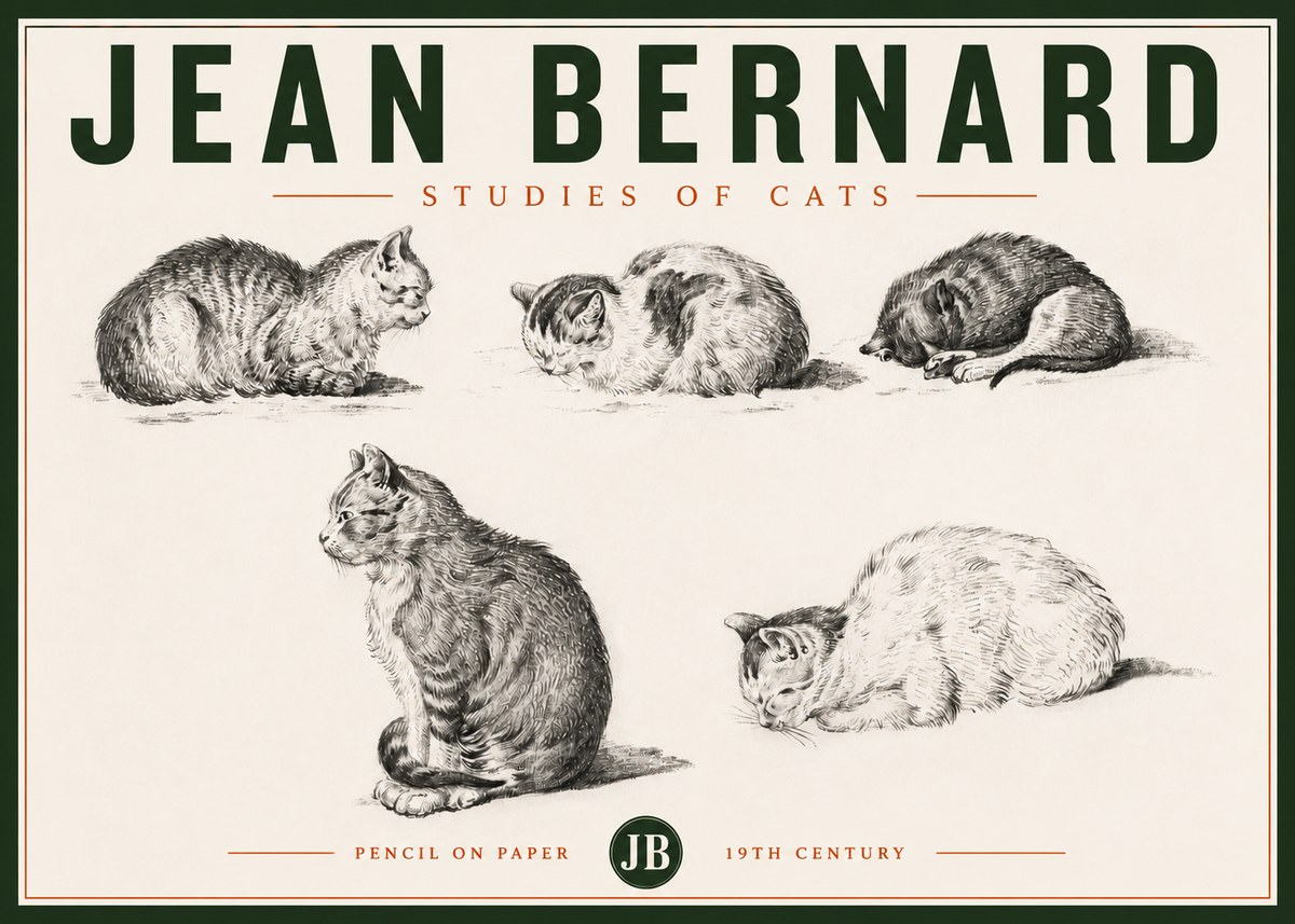 Jean Bernard Studies of Cats No4 - Plakat
