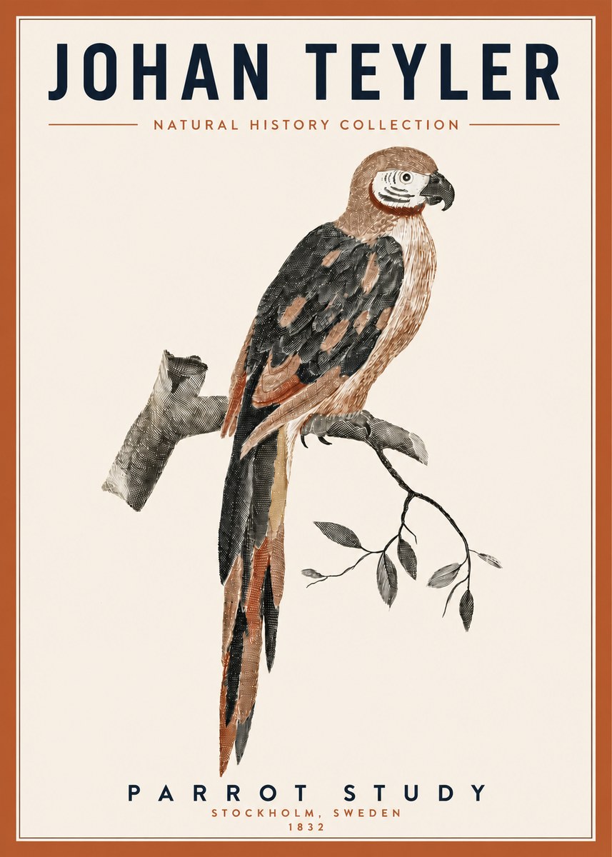 Johan Teyler Parrot Study I No3 - Plakat