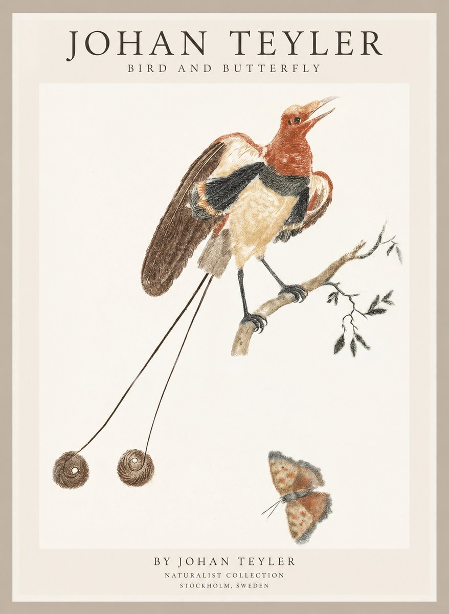 Johan Teyler Bird and Butterfly No1 - Plakat