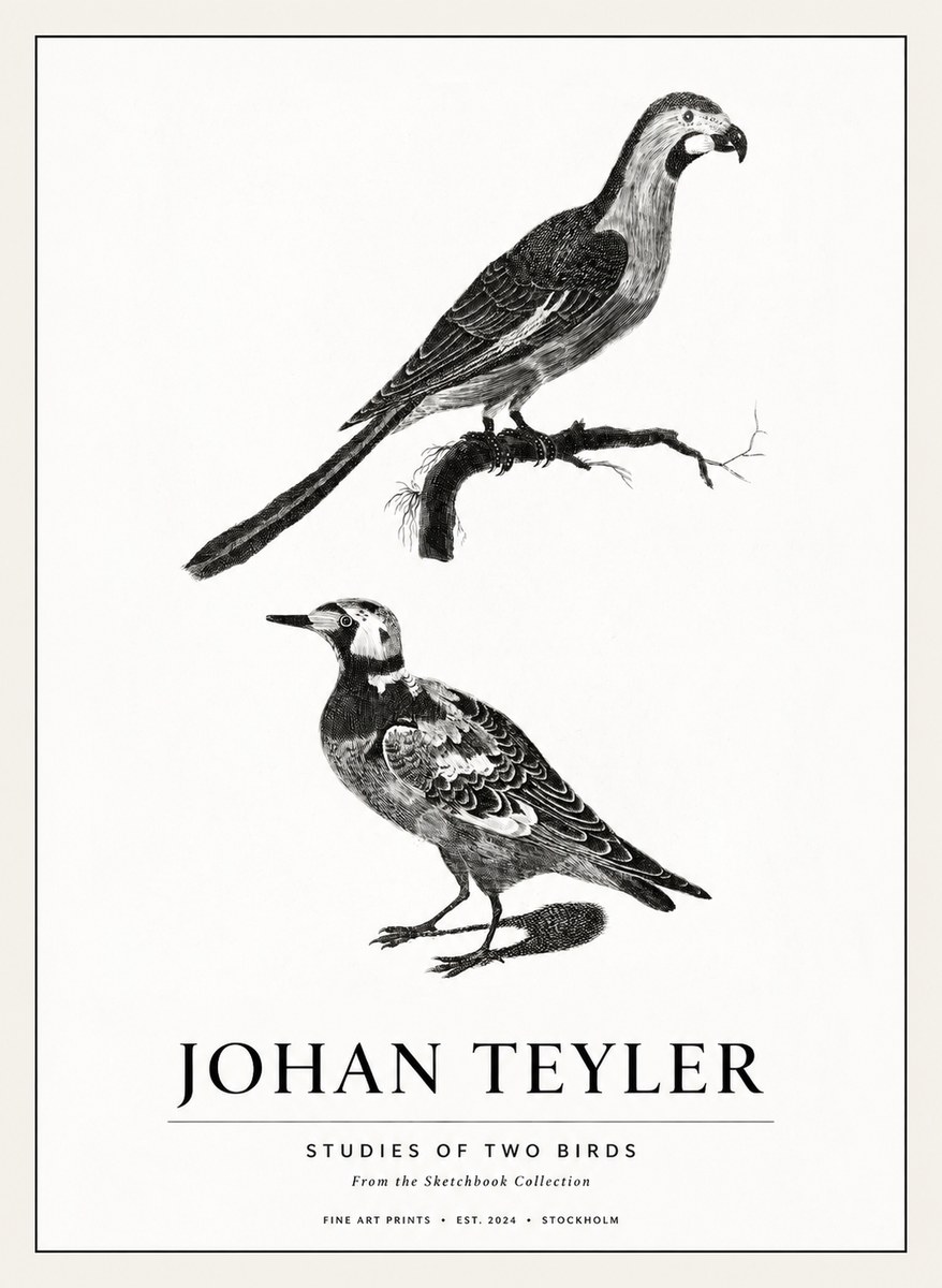 Johan Teyler Birds - Study of Two Species No3 - Plakat