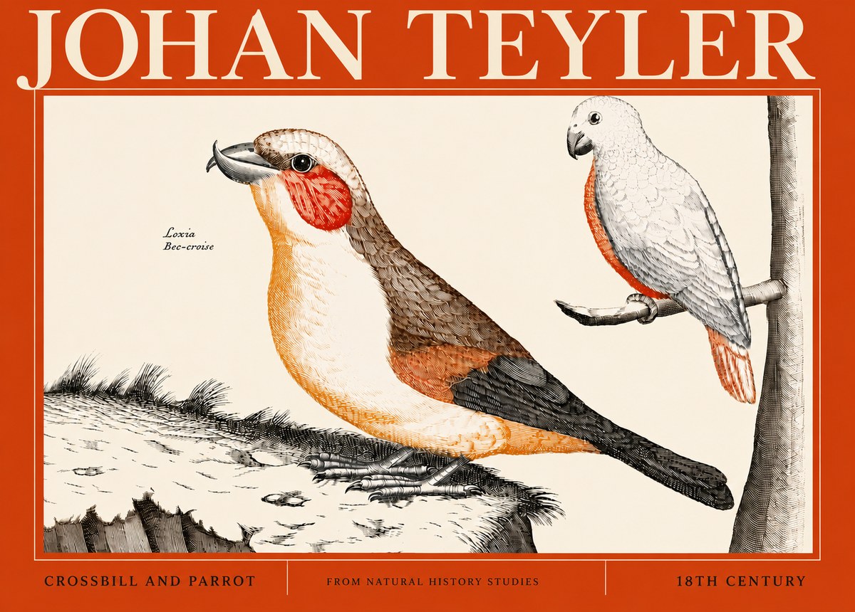 Johan Teyler Crossbill and Parrot No4 - Plakat