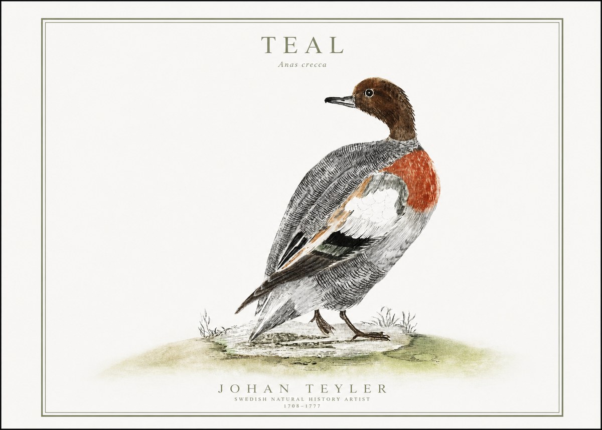 Johan Teyler Teal No1 - Plakat