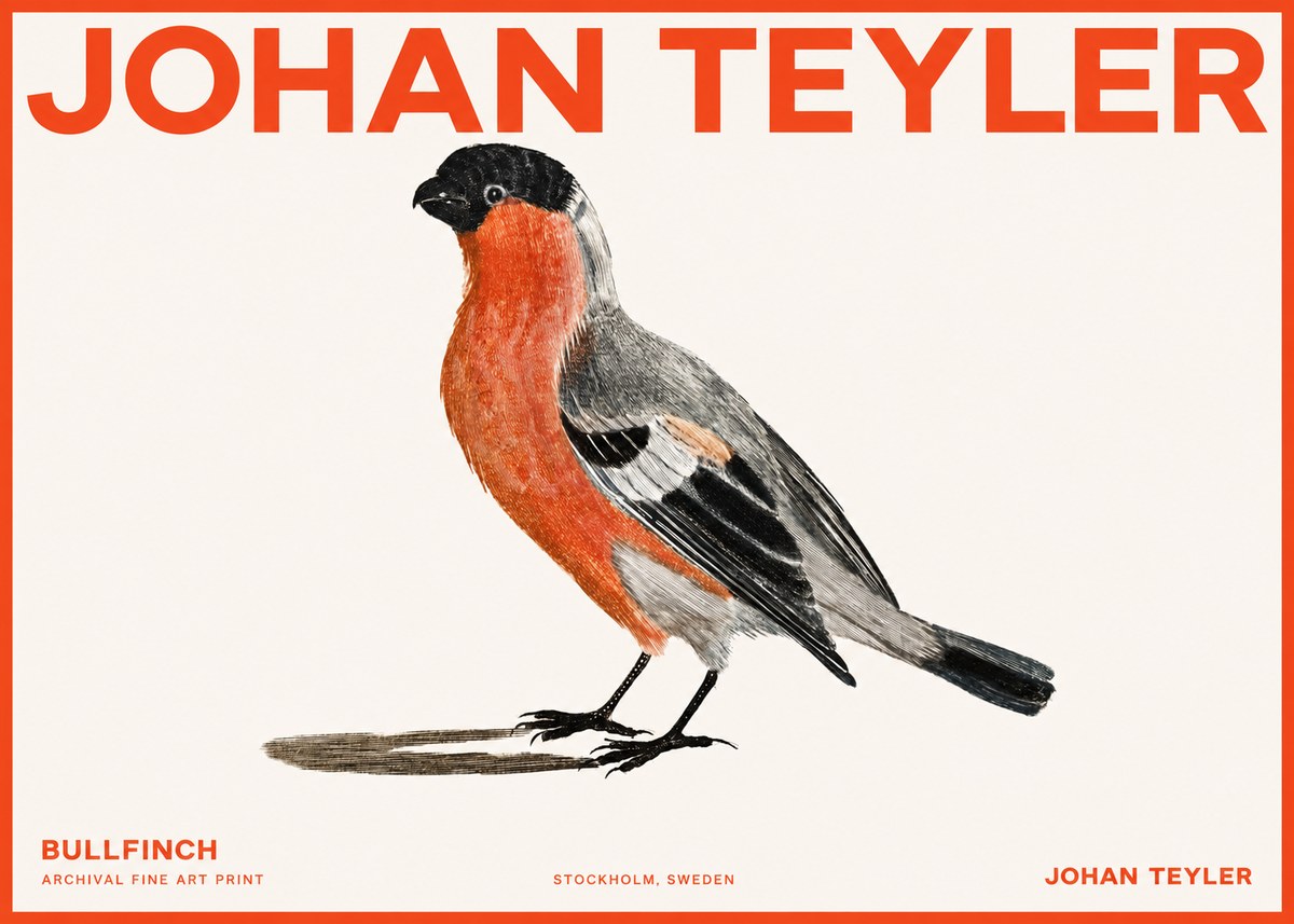 Johan Teyler Bullfinch No2 - Plakat